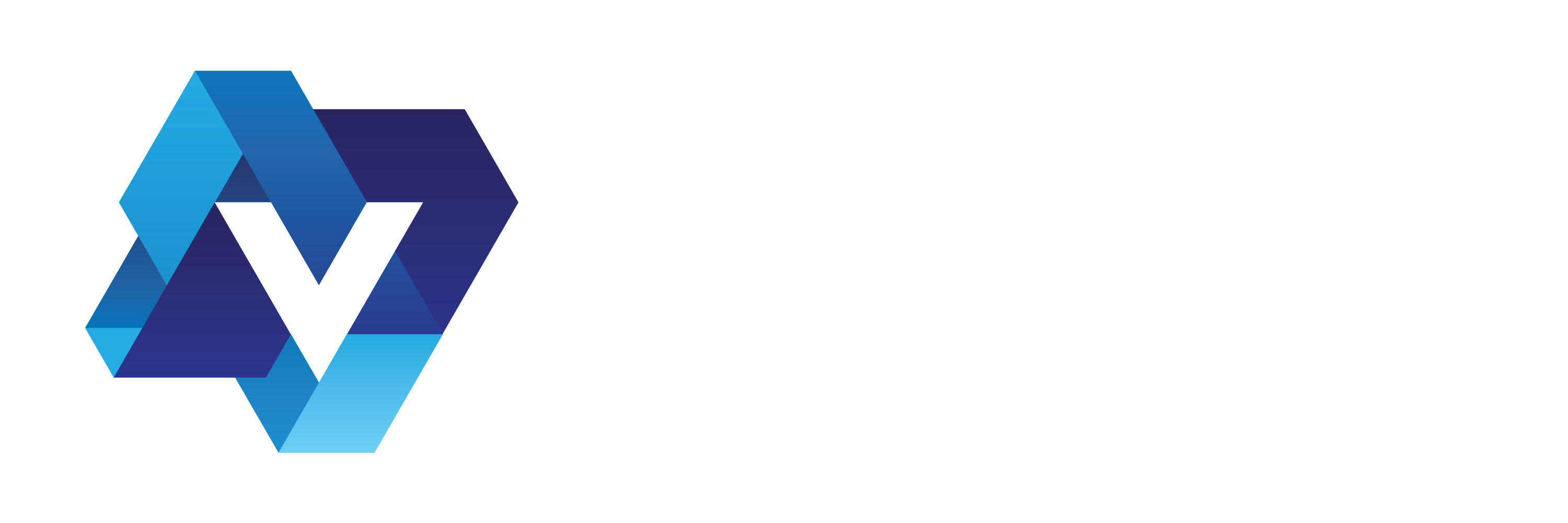 Vostra Internasional
